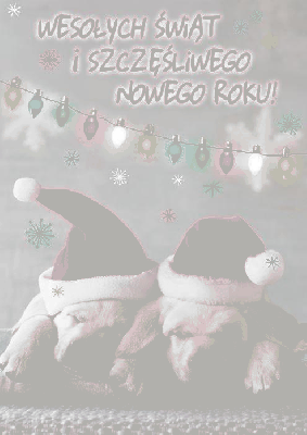 Dwa pieski szczęśliwego nowego roku